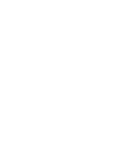 Sield Icon